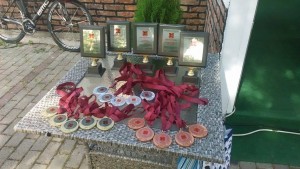 13553411_10208460149413109_74765300_n